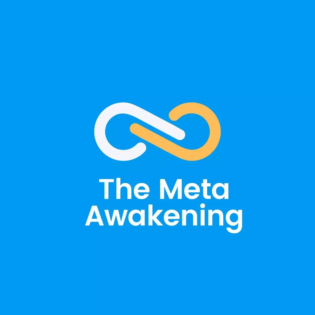 the meta awakening